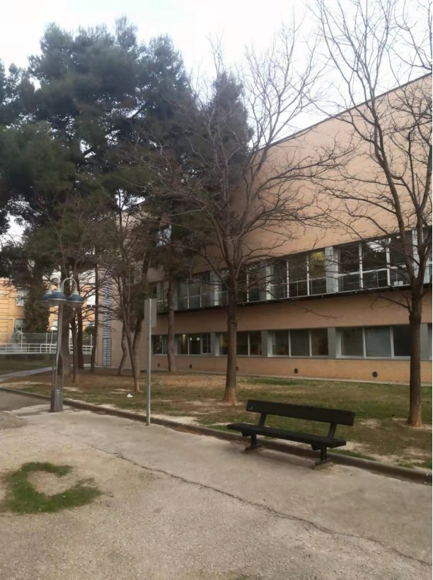 陆仪婷（2016级比较文学与世界文学
