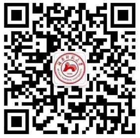 点点体育